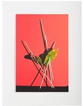Balance Study (Arrangement before Red), 2020

Pigmentprint auf Photorag Papier, 29,7 x 19,8 cm, aufgelegt auf säurefreiem Museumskarton 40 x30 cm, gerahmt
1/2 AP, rückseitig signiert und beschriftet 

Ausrufpreis: 600,-