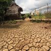 Martin Wildenberg/Global2000