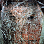 O.T. aus der Serie 'Aufhänger'
(Inszenierung im Palais Yeniköy, Istanbul), 2014

Print, 60 x 60 cm, gerahmt
Auflage: 5, rückseitig signiert

AUSRUFPREIS: 480.-